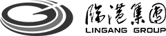 lingang group