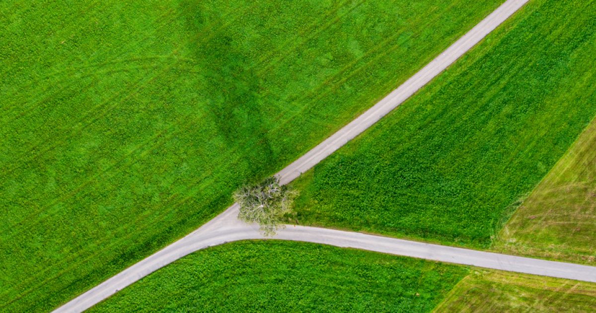 Dynamic Discounting Vs Supply Chain Finance